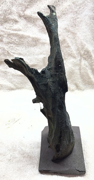 Driftwood mounted to Slate