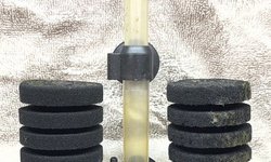 Sponge Filter - Dual Sponges