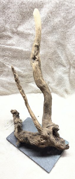 Driftwood mounted to Slate
