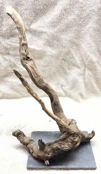Driftwood mounted to Slate