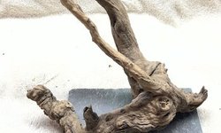 Driftwood mounted to Slate