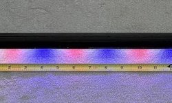 10g tank LED 19”