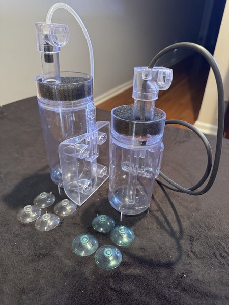 Egg tumblers