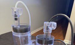 Egg tumblers