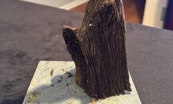 Wood on slate