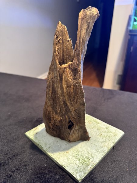 Wood on slate
