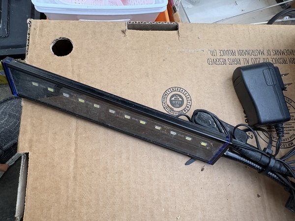Clip on LED light