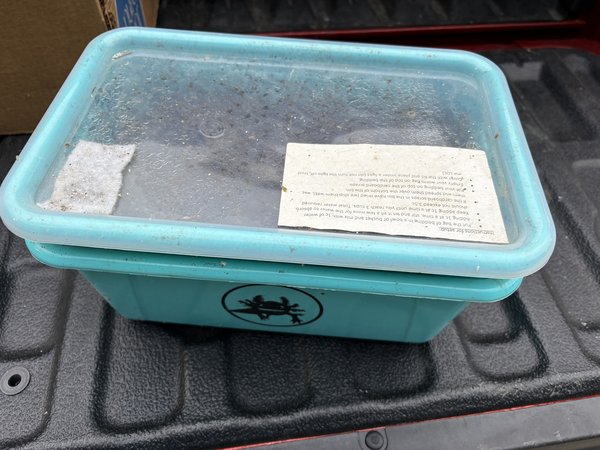 Worm farm