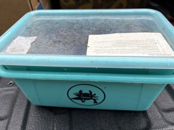 Worm farm