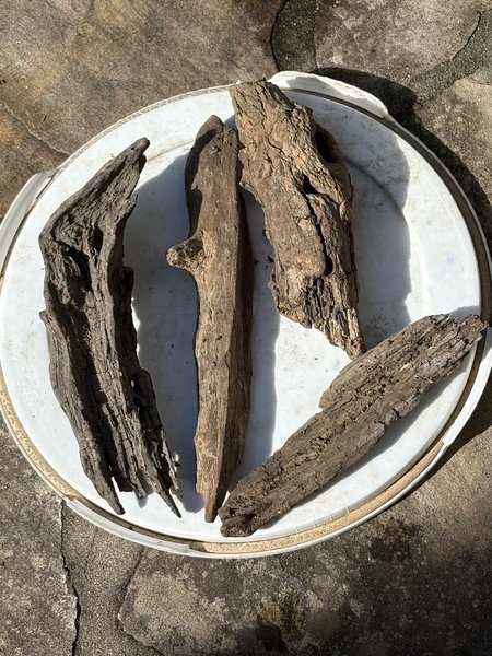 Driftwood