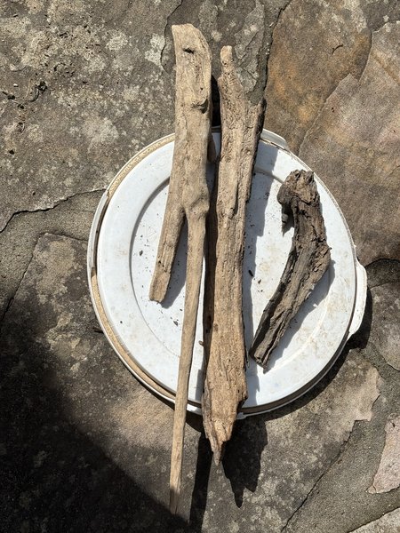 A Driftwood from another lot