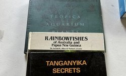 4 books