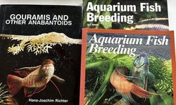 3 books