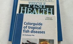 3 books