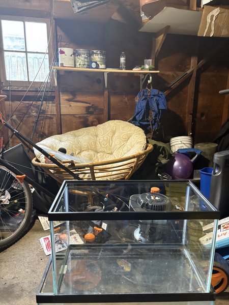 10 gallon aquarium