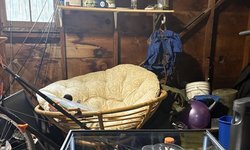 10 gallon aquarium