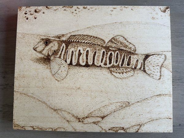Candy Darter Wood Burning