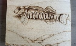 Candy Darter Wood Burning