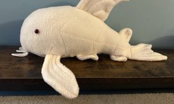 Photo 2 of Corydora plush