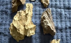Dragon stone group of small pieces