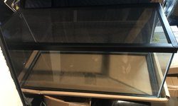 20 gallon long with mesh lid