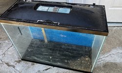 37 Gallon Tank