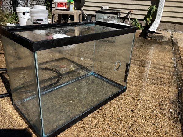 A 20 Gal High Drilled Tank from another lot