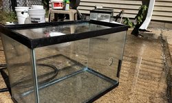 20 Gal High Drilled Tank