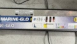 36” Fluorescent Strip Light
