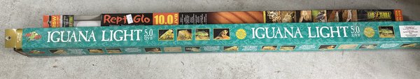 2 Reptile Bulbs