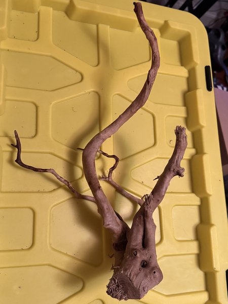 A drift wood from another lot