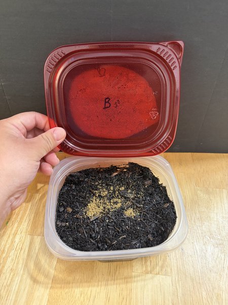 Crushed cat food on top