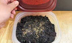 Photo 5 of 1 x White Worm STARTER Culture C