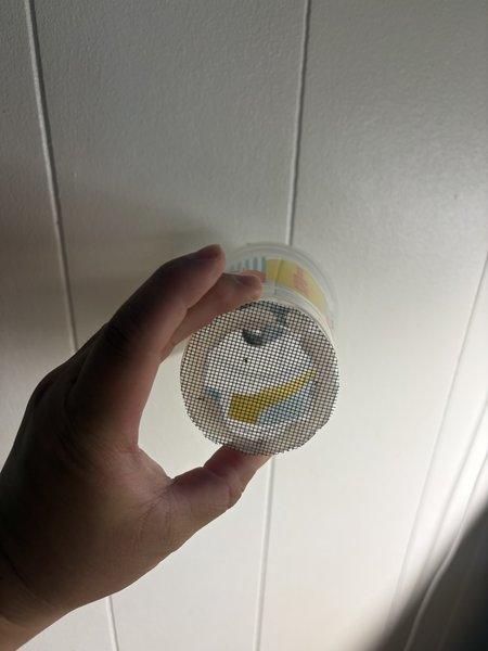 1 x DIY Nano Fish Trap
