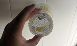 Photo 3 of 1 x DIY Nano Fish Trap