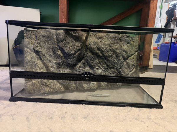 Large Terrarium