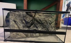 Large Terrarium