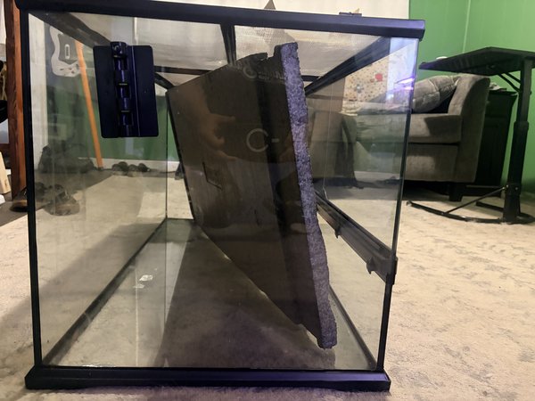 Large Terrarium