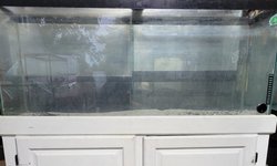 Photo 2 of 55-Gal tank w/stand