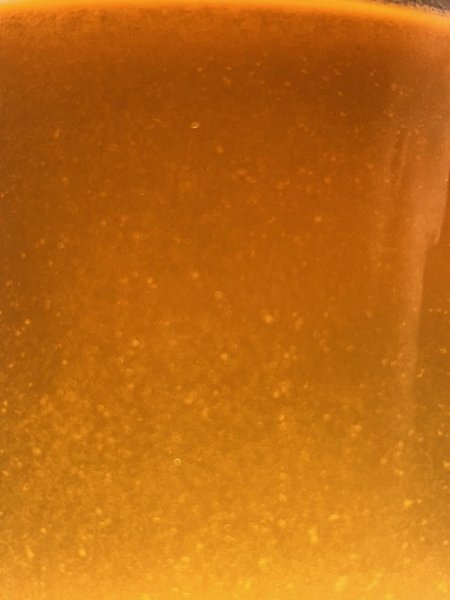 A Vinegar Eels from another lot