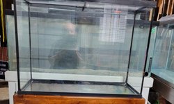 Photo 2 of 37-Gallon Tank and Stand