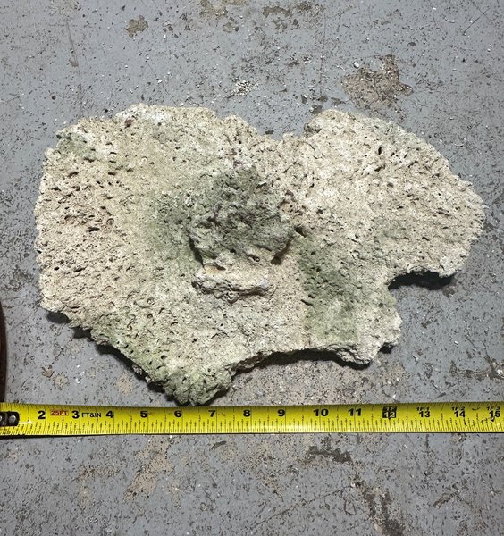 6 Pieces of Dry Live Rock