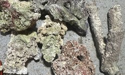 Photo 2 of 6 Pieces of Dry Live Rock