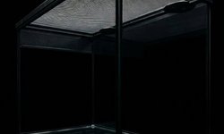 20 Gallon Tall Terrarium w/ Lid