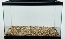 10 Gallon Glass Aquarium with Gravel Sub