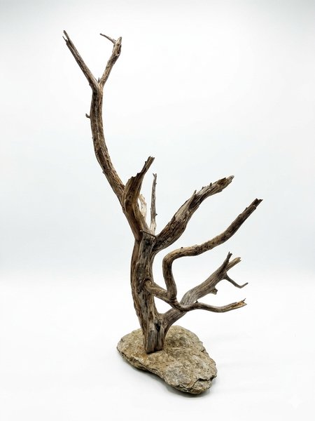 Large Driftwood on Rock – Approx. 23 Inc