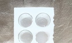 Shrimp Feeding Dishes (6)