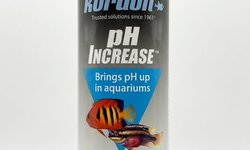 Kordon pH Increase Water Treatment (16oz