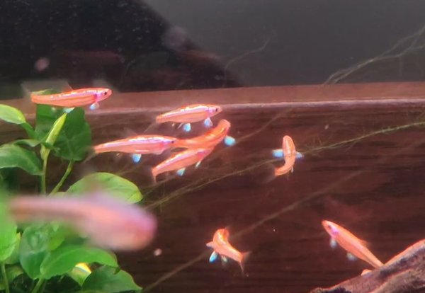 Parent group while spawning