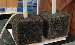 Sponge filters, 4”